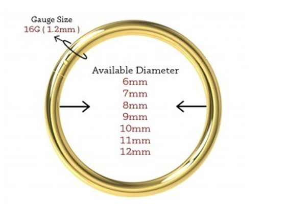 Eingehängtes des Segment-18K Maß Goldnasenpiercing-des Klassiker-6-12mm