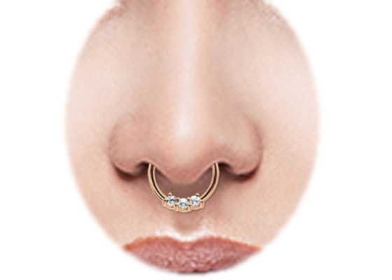 Goldscheidewand Ring-, 8mm und 10mm des Schnecken14k Nasen-Ring für tägliche Abnutzung