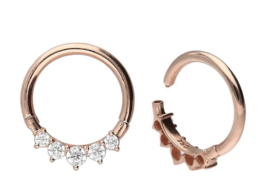 Chirurgischer eingehängter äußerer Greifer des Gold14k clicker-5 stellte Art Hypoallergenic ein